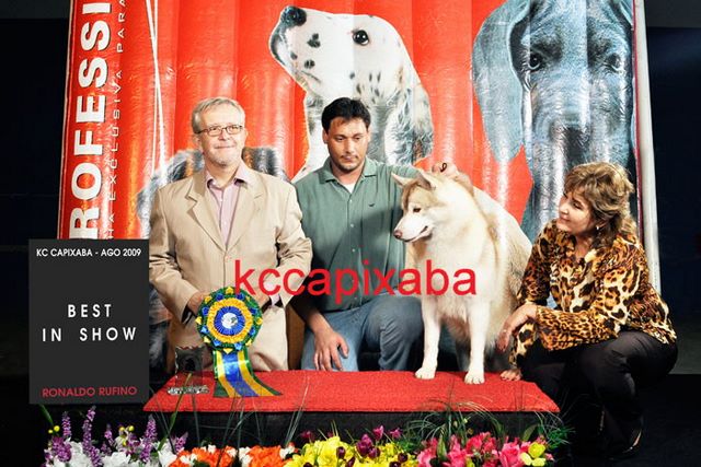 Clique sobre a foto para fechar